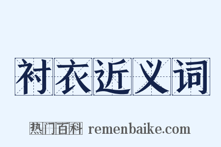衬衣近义词是什么意思的图片